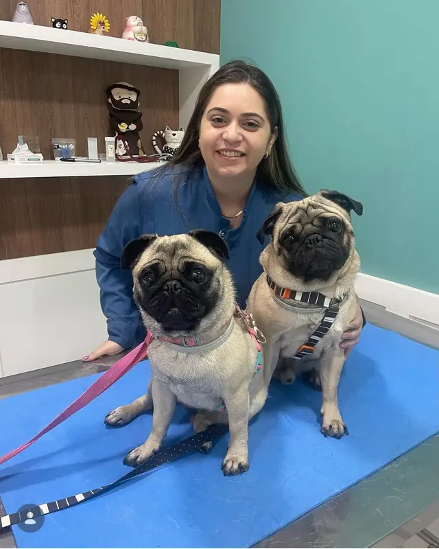 Dra. Laís Rosseto segurando dois pugs no colo